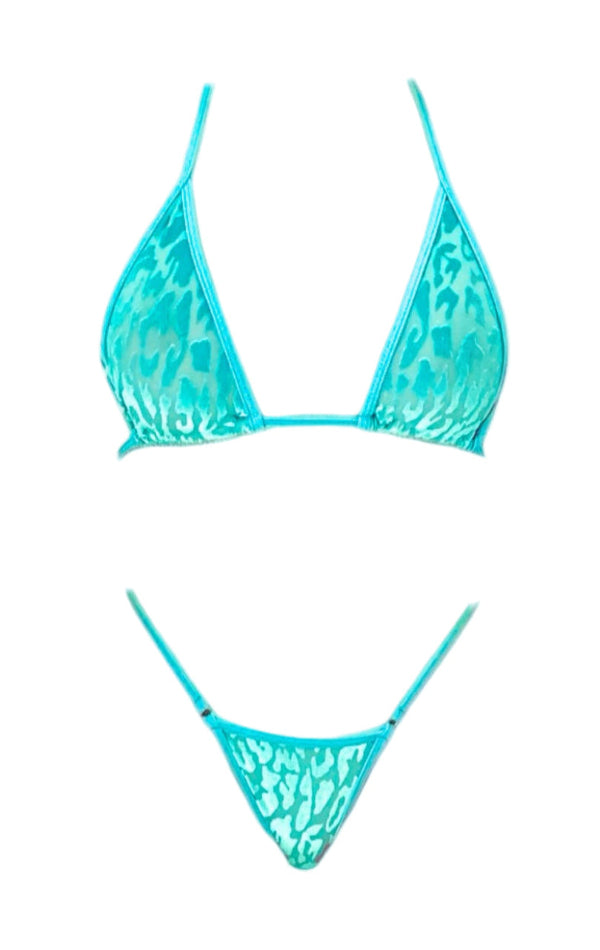 Elevate Turquoise
